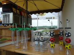 2013-05-18_pfingstturnier_090.jpg