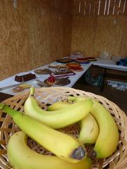 2013-05-18_pfingstturnier_278.jpg
